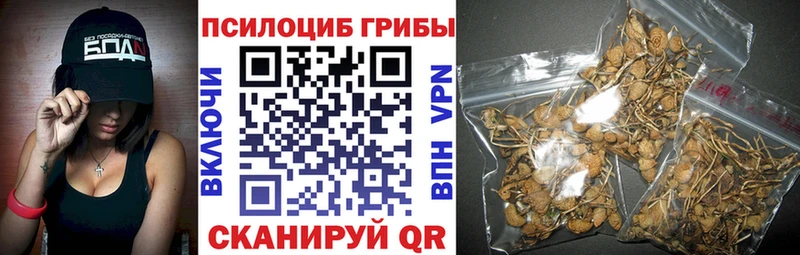 Псилоцибиновые грибы Psilocybine cubensis  Купить где  Мценск 