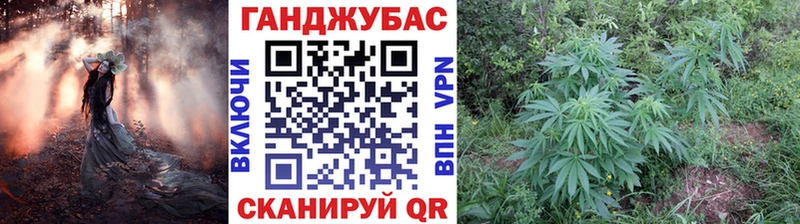 МАРИХУАНА семена  Купить закладки  Мценск 